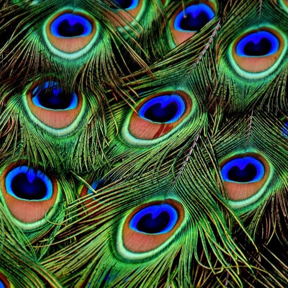 Bundle and save - Picture 7 of 8